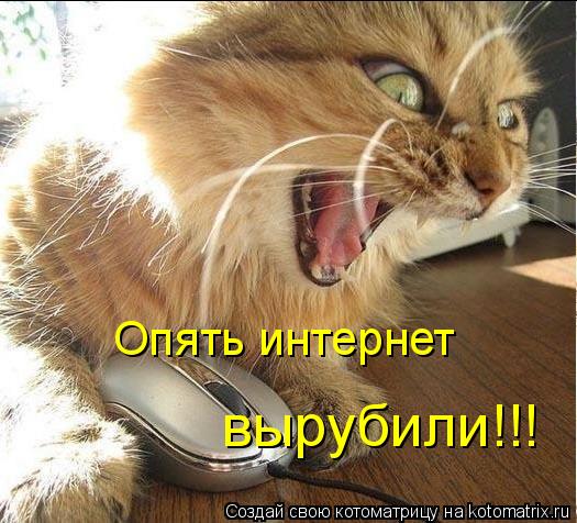 Котоматрица: Опять интернет вырубили!!!