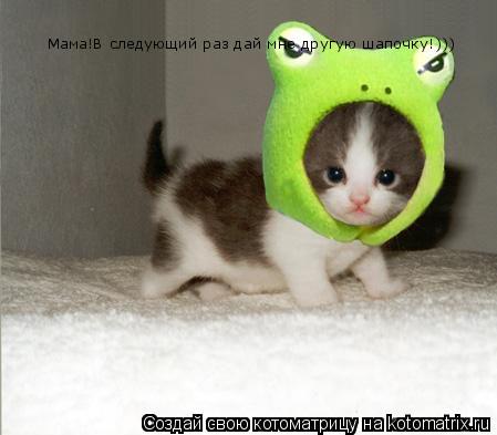 Котоматрица: Мама!В следующий раз дай мне другую шапочку!)))
