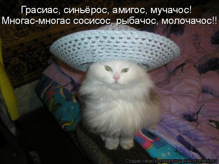 Котоматрица: Грасиас, синьёрос, амигос, мучачос! Многас-многас сосисос, рыбачос, молочачос!!