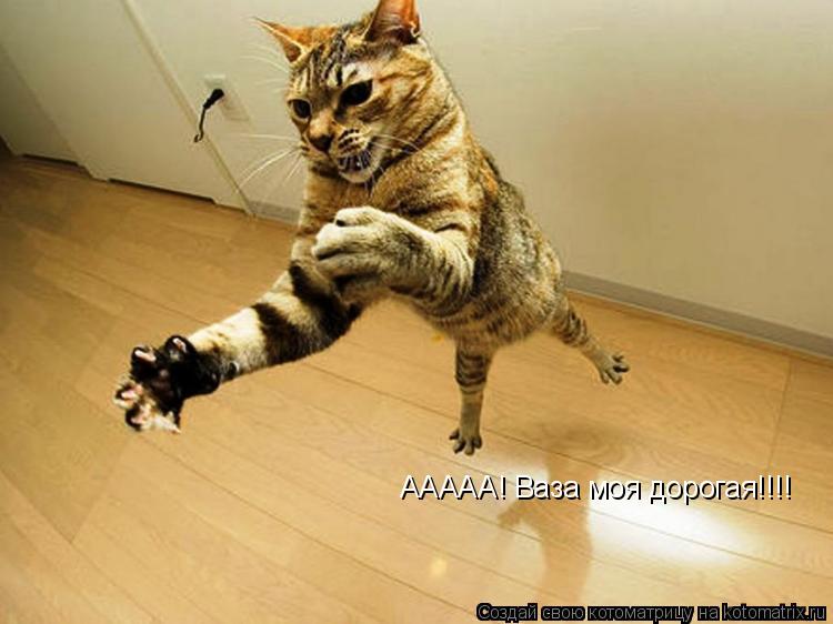 Котоматрица: ААААА! Ваза моя дорогая!!!!