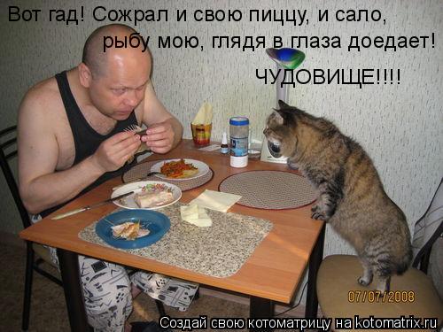 Котоматрица: Вот гад! Сожрал и свою пиццу, и сало, рыбу мою, глядя в глаза доедает! ЧУДОВИЩЕ!!!!