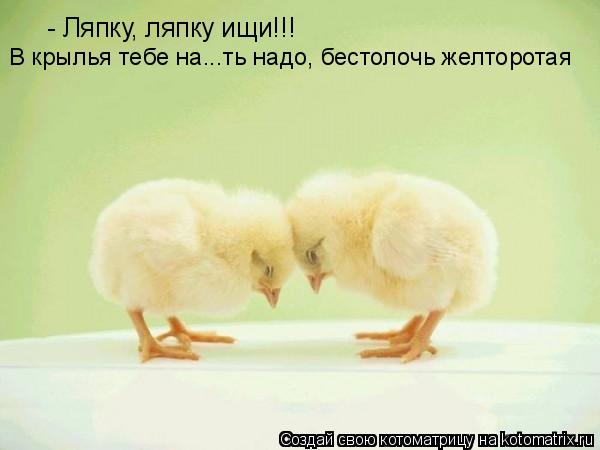 - Ляпку, ляпку ищи!!! В крылья тебе на...ть надо, бестолочь желторотая... Котоматрица: - Ляпку, ляпку ищи!!! В крылья тебе на...ть надо, бестолочь желторотая