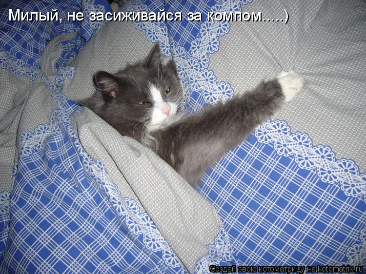 Милый, не засиживайся за компом.....)... Котоматрица: Милый, не засиживайся за компом.....)