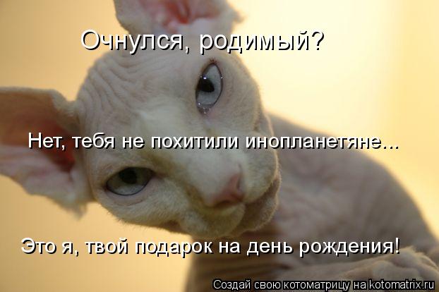 Котоматрица: Очнулся, родимый? Нет, тебя не похитили инопланетяне... Это я, твой подарок на день рождения!