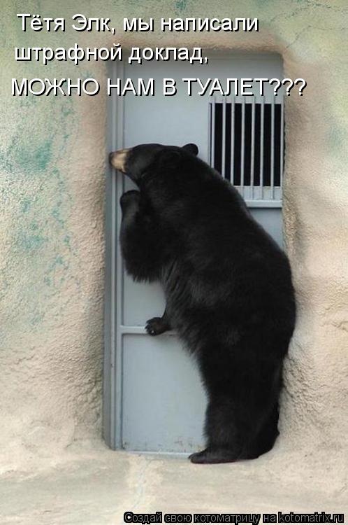 Тётя Элк, мы написали штрафной доклад, МОЖНО НАМ В ТУАЛЕТ???... Котоматрица: Тётя Элк, мы написали штрафной доклад, МОЖНО НАМ В ТУАЛЕТ???