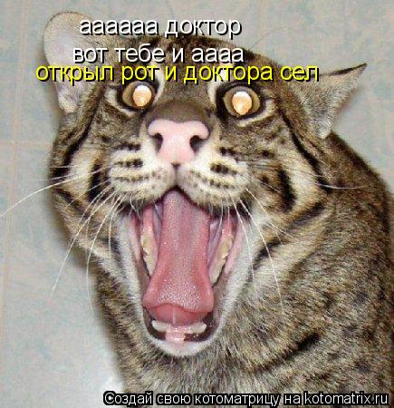 аааааа доктор вот тебе и аааа открыл рот и доктора сел... Котоматрица: аааааа доктор вот тебе и аааа открыл рот и доктора сел