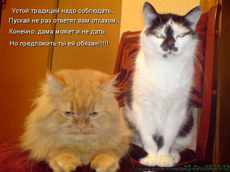 Котоматрица: Устой традиций надо соблюдать, Пускай не раз ответят вам отказом, Конечно, дама может и не дать, Но предложить ты ей обязан!!!!!