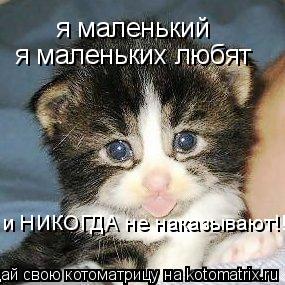 Котоматрица: я маленький я маленьких любят и НИКОГДА не наказывают!!