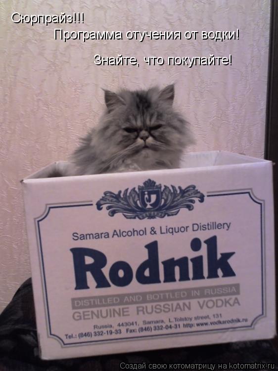 Котоматрица: Сюрпрайз!!! Программа отучения от водки! Знайте, что покупайте!
