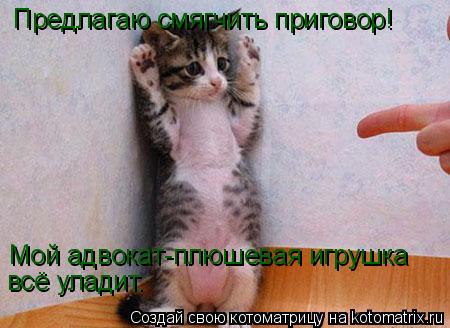 Котоматрица: Предлагаю смягчить приговор! Мой адвокат-плюшевая игрушка всё уладит.