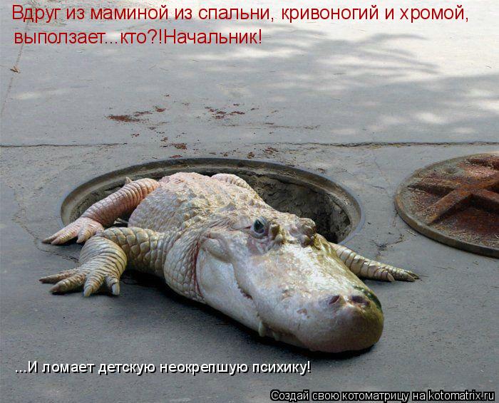 Котоматрица: Вдруг из маминой из спальни, кривоногий и хромой, выползает...кто?!Начальник! ...И ломает детскую неокрепшую психику!