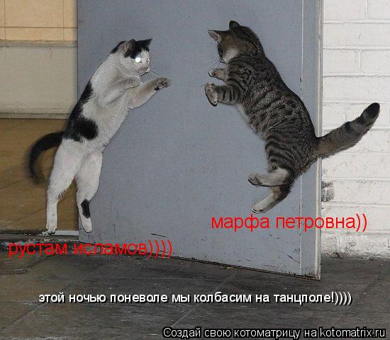 Котоматрица: марфа петровна)) рустам исламов)))) этой ночью поневоле мы колбасим на танцполе!))))