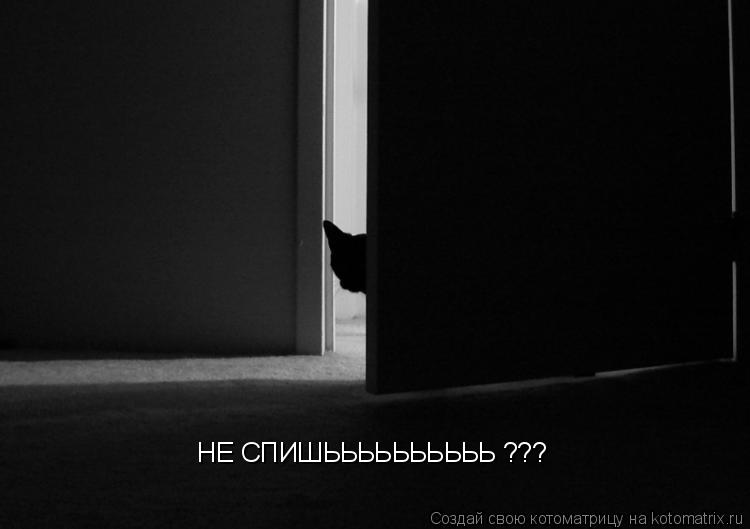 Котоматрица: НЕ СПИШЬЬЬЬЬЬЬЬЬЬ ???