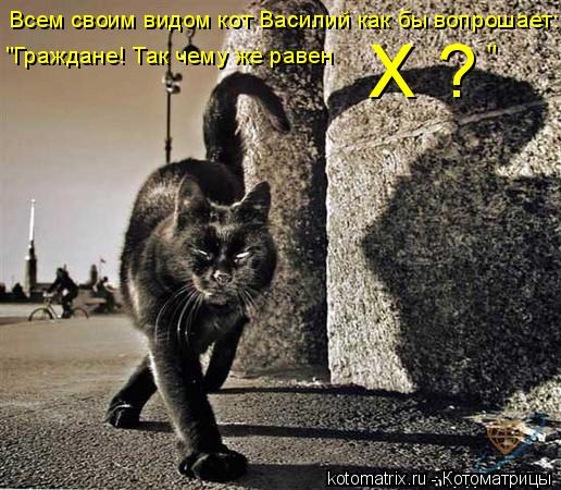 Котоматрица: Всем своим видом кот Василий как бы вопрошает: "Граждане! Так чему же равен  Х ? "