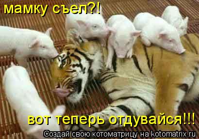 мамку съел?! вот теперь отдувайся!!!... Котоматрица: мамку съел?! вот теперь отдувайся!!!