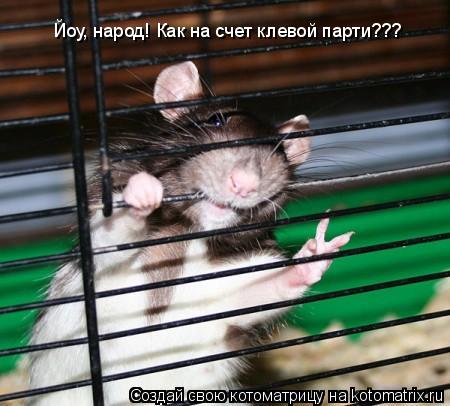 Котоматрица: Йоу, народ! Как на счет клевой парти???