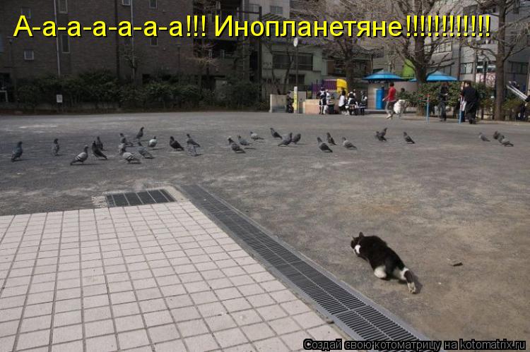 Котоматрица: А-а-а-а-а-а-а!!! Инопланетяне!!!!!!!!!!!!