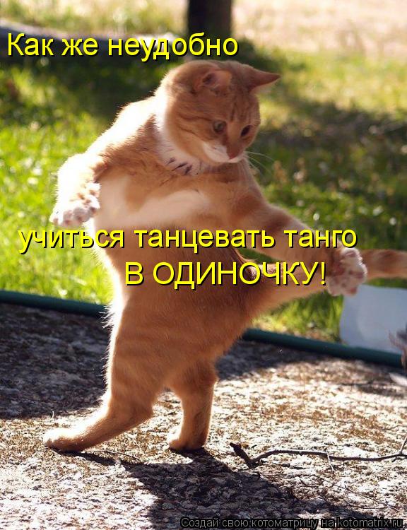 Как же неудобно учиться танцевать танго В ОДИНОЧКУ!... Котоматрица: Как же неудобно учиться танцевать танго В ОДИНОЧКУ!