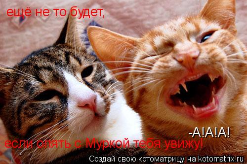 Котоматрица: -А!А!А! ещё не то будет,  если опять с Муркой тебя увижу!