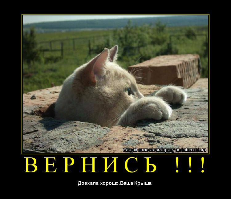 В Е Р Н И С Ь ! ! ! ... Котоматрица: В Е Р Н И С Ь ! ! !