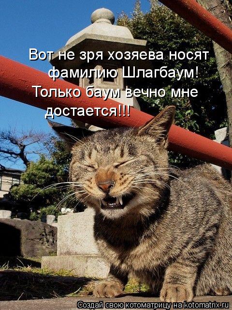 Котоматрица: Вот не зря хозяева носят фамилию Шлагбаум! Только баум вечно мне  достается!!!