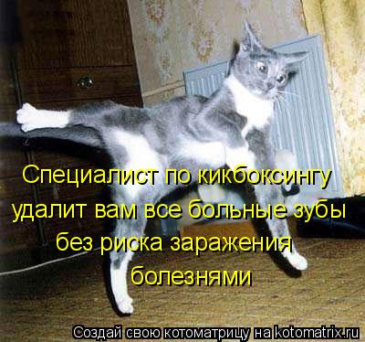 Специалист по кикбоксингу удалит вам все больные зубы без риска заражения болезнями... Котоматрица: Специалист по кикбоксингу удалит вам все больные зубы без риска заражения болезнями