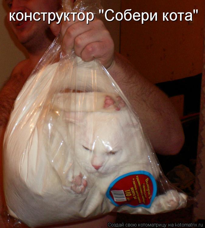 конструктор "Собери кота"... Котоматрица: конструктор "Собери кота"