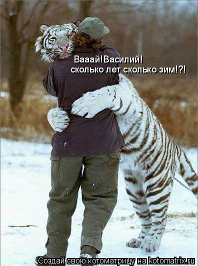 Котоматрица: Вааай!Василий! сколько лет сколько зим!?!