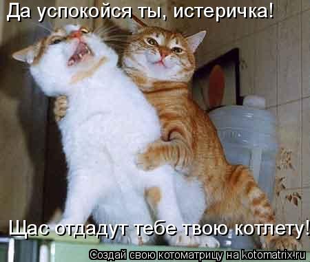 Котоматрица: Да успокойся ты, истеричка! Щас отдадут тебе твою котлету!