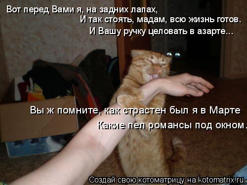Вот перед Вами я, на задних лапах, И так стоять, мадам, всю жизнь готов. И Вашу ручку целовать в аз... Котоматрица: Вот перед Вами я, на задних лапах, И так стоять, мадам, всю жизнь готов. И Вашу ручку целовать в азарте... Вы ж помните, как страстен был я в Ма