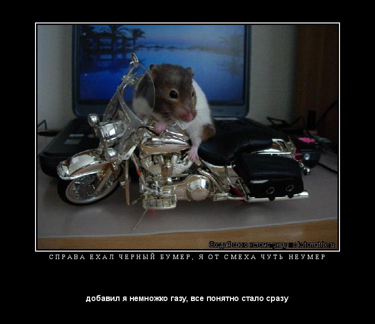 С П Р А В А Е Х А Л Ч Е Р Н Ы Й Б У М Е Р , Я О Т С М Е Х А Ч У Т Ь Н Е У М Е Р ... Котоматрица: С П Р А В А Е Х А Л Ч Е Р Н Ы Й Б У М Е Р , Я О Т С М Е Х А Ч У Т Ь Н Е У М Е Р