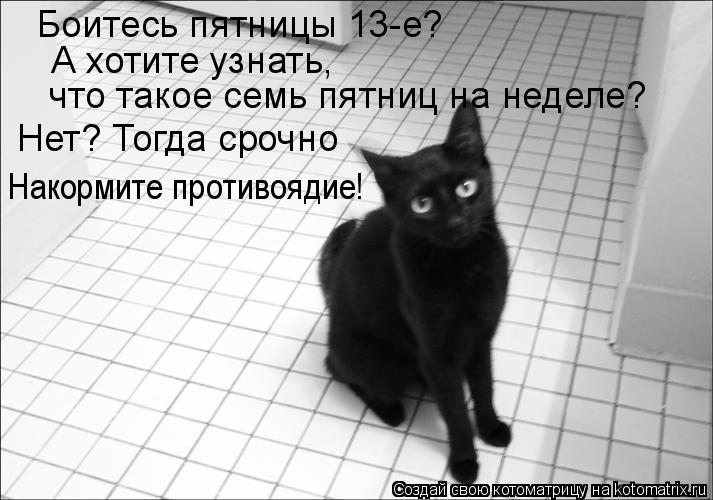 Котоматрица: А хотите узнать,  что такое семь пятниц на неделе? Нет? Тогда срочно Накормите противоядие! Боитесь пятницы 13-е?