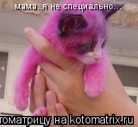 Котоматрица: мама..я не специально...