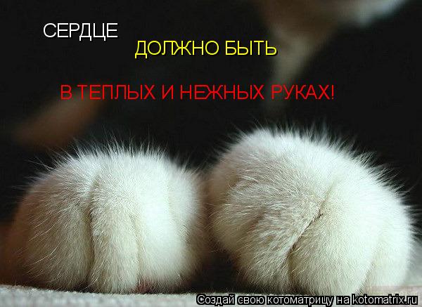 Котоматрица: СЕРДЦЕ ДОЛЖНО БЫТЬ В ТЕПЛЫХ И НЕЖНЫХ РУКАХ!