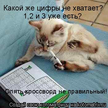 Котоматрица: Какой же цифры не хватает? 1,2 и 3 уже есть? Опять кроссворд не правильный!