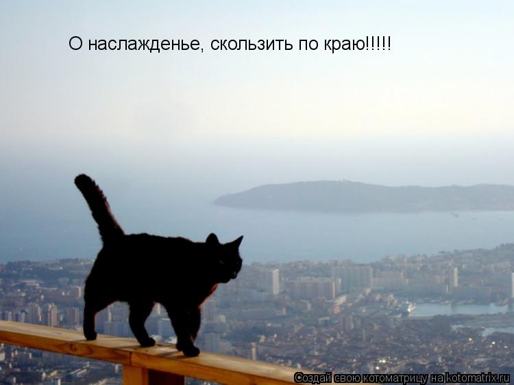 Котоматрица: О наслажденье, скользить по краю!!!!!