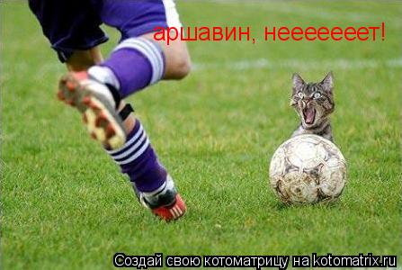 Котоматрица: аршавин, нееееееет!