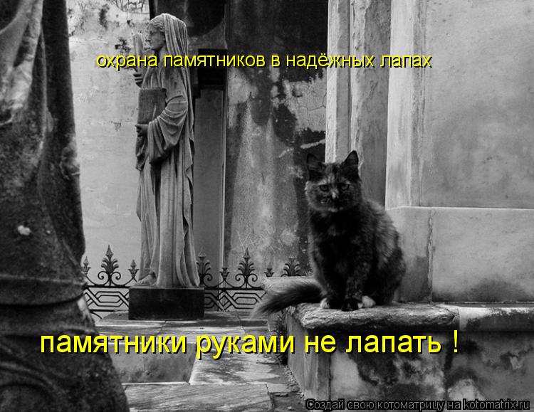 Котоматрица: охрана памятников в надёжных лапах памятники руками не лапать !