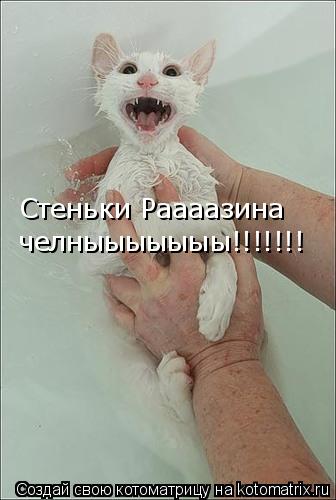 Стеньки Раааазина челныыыыыыы!!!!!!!... Котоматрица: Стеньки Раааазина челныыыыыыы!!!!!!!