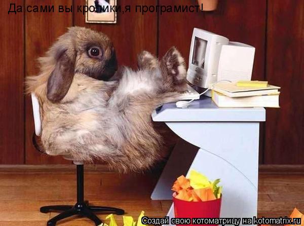 Котоматрица: Да сами вы кролики,я програмист!