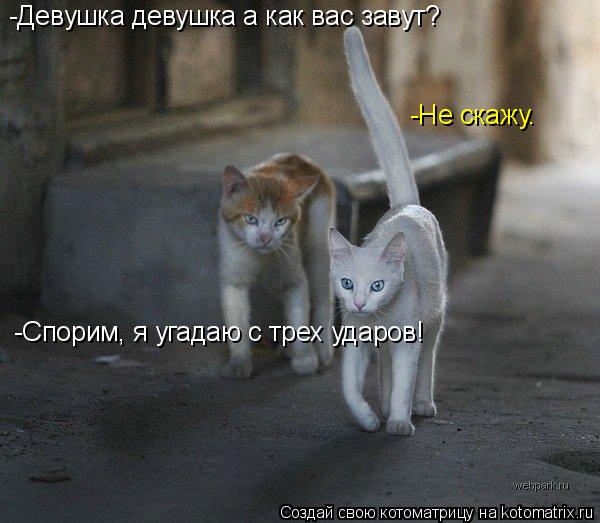 Котоматрица: -Девушка девушка а как вас завут? -Hе скажу. -Спорим, я угадаю с трех ударов!