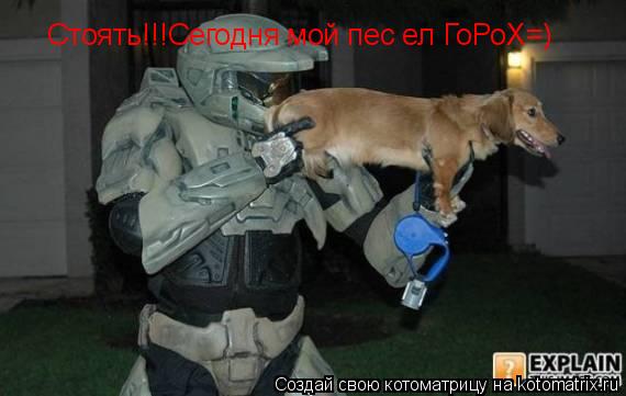 Котоматрица: Стоять!!!Сегодня мой пес ел ГоРоХ=)