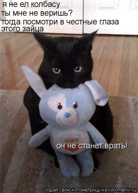 Котоматрица: я не ел колбасу ты мне не веришь? тогда посмотри в честные глаза  этого зайца он не станет врать!