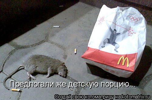 Котоматрица: Предлогали же детскую порцию...