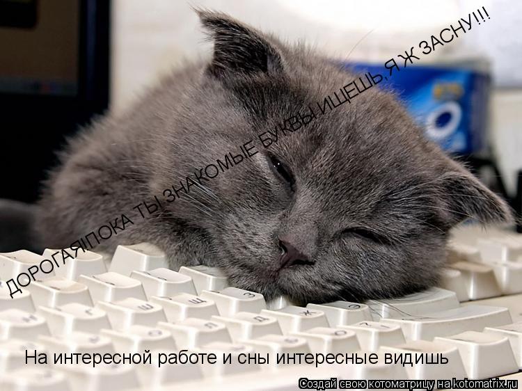Котоматрица: ДОРОГАЯ!ПОКА ТЫ ЗНАКОМЫЕ БУКВЫ ИЩЕШЬ,Я Ж ЗАСНУ!!!