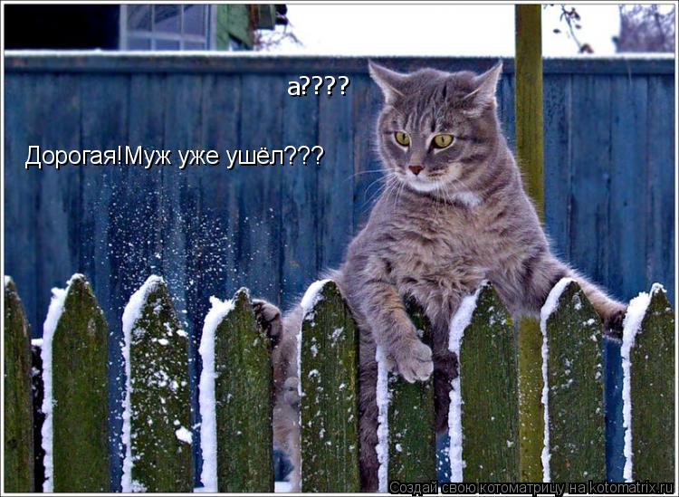 Котоматрица: Дорогая!Муж уже ушёл??? а ????