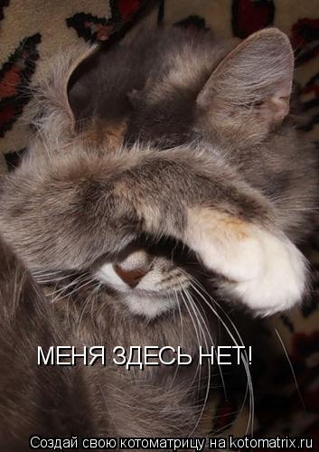 Котоматрица: МЕНЯ ЗДЕСЬ НЕТ!