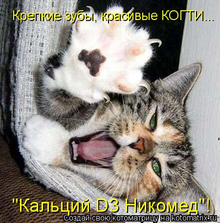 Котоматрица: Крепкие зубы, красивые КОГТИ... "Кальций D3 Никомед"!