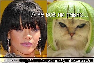 Котоматрица: А не всё ли равно...