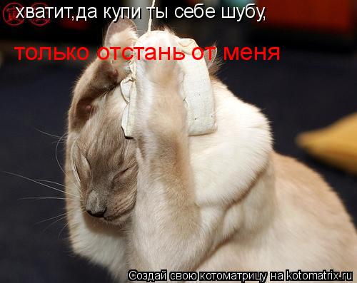 Котоматрица: хватит,да купи ты себе шубу, только отстань от меня